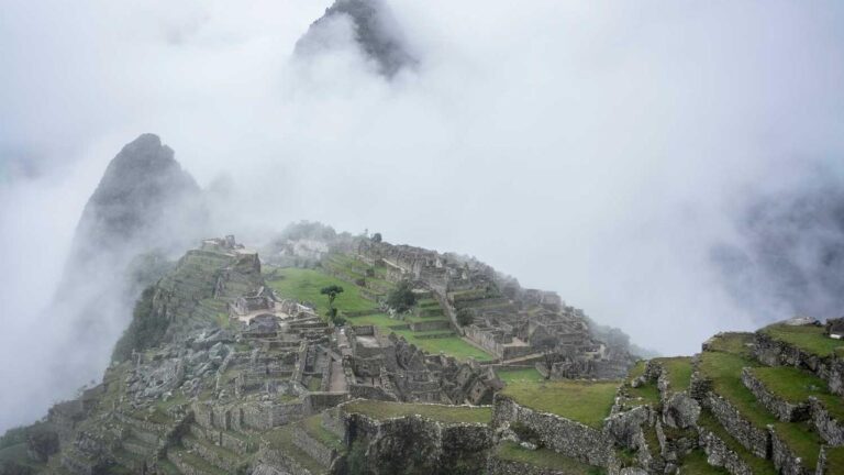 What Does The ?Line? Represent On Cricbet99 Matches?