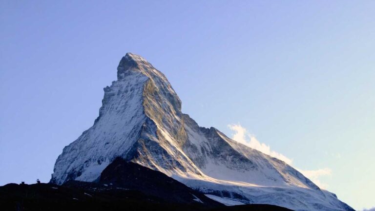 What Is An 11Xplay Betting Id Used For?